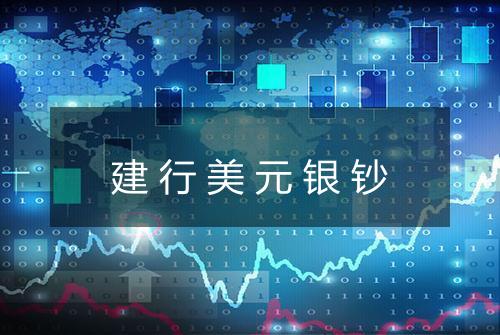 建行美元银钞