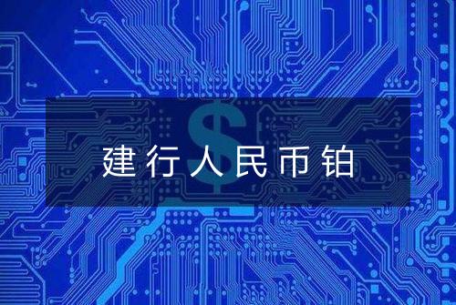 建行人民币铂