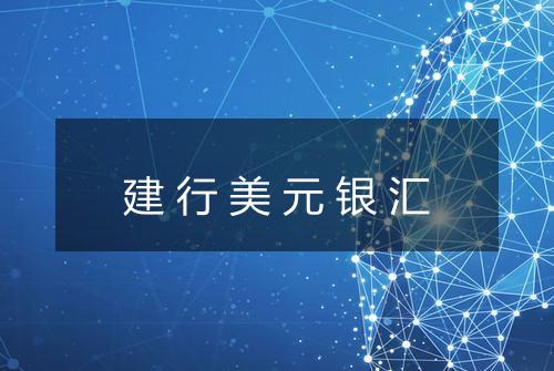 建行美元银汇