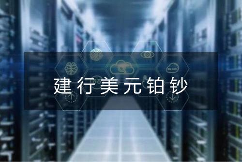 建行美元铂钞