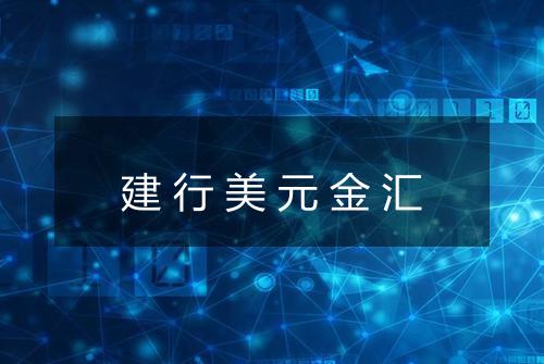 建行美元金汇