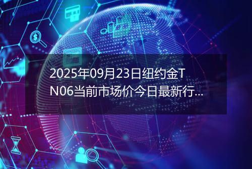 2025年09月23日纽约金TN06当前市场价今日最新行情及报价多少元一克