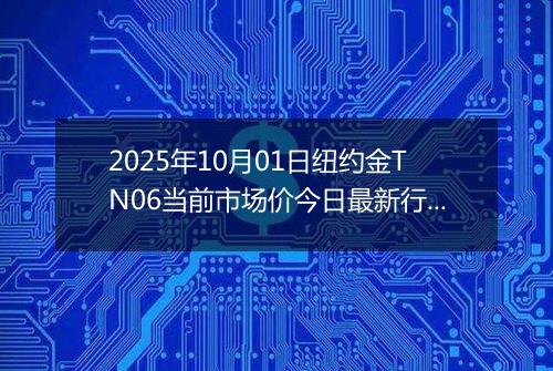 2025年10月01日纽约金TN06当前市场价今日最新行情及报价多少元一克