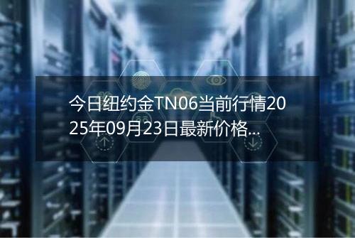 今日纽约金TN06当前行情2025年09月23日最新价格及市场价多少钱一克