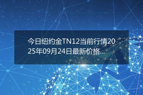 今日纽约金TN12当前行情2025年09月24日最新价格及市场价多少元一克