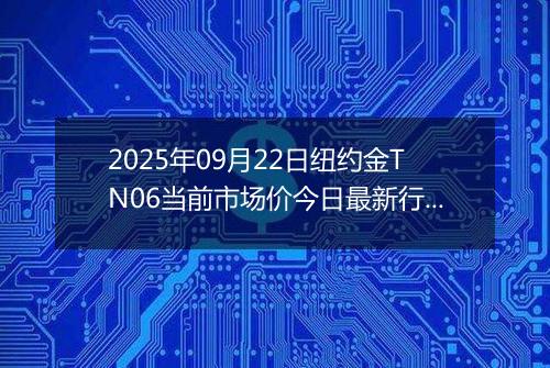 2025年09月22日纽约金TN06当前市场价今日最新行情及报价多少钱一克