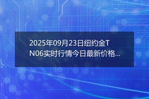 2025年09月23日纽约金TN06实时行情今日最新价格及当前报价多少一克