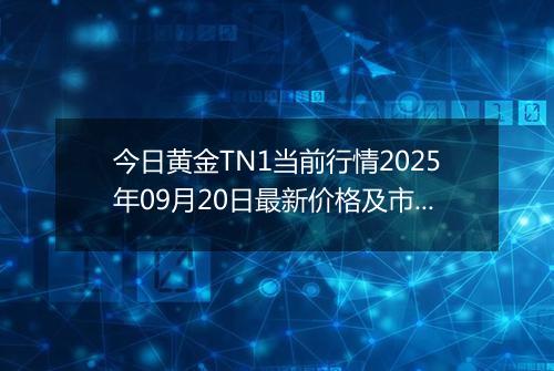 今日黄金TN1当前行情2025年09月20日最新价格及市场价多少元一克