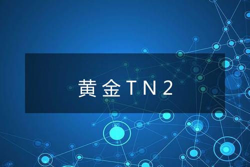 黄金TN2