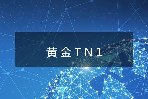 黄金TN1