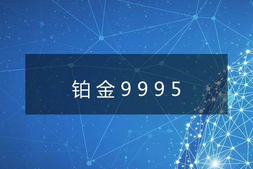 铂金9995