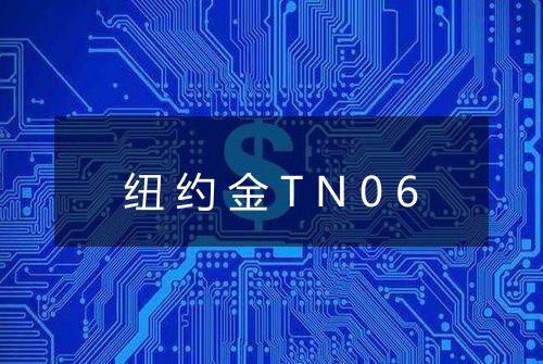 纽约金TN06